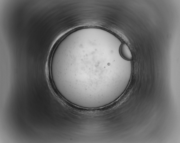 X0000100330936200806051200