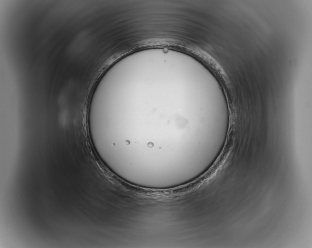 X0000100330937200806051200