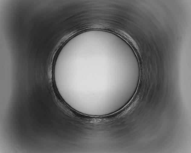 X0000100330938200806051200