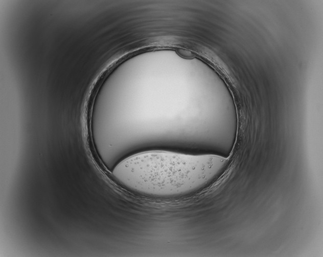 X0000100330939200806051200