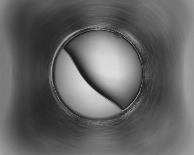 X0000100330940200806051200