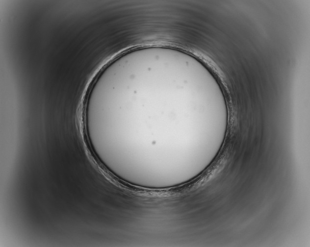 X0000100330941200806051200
