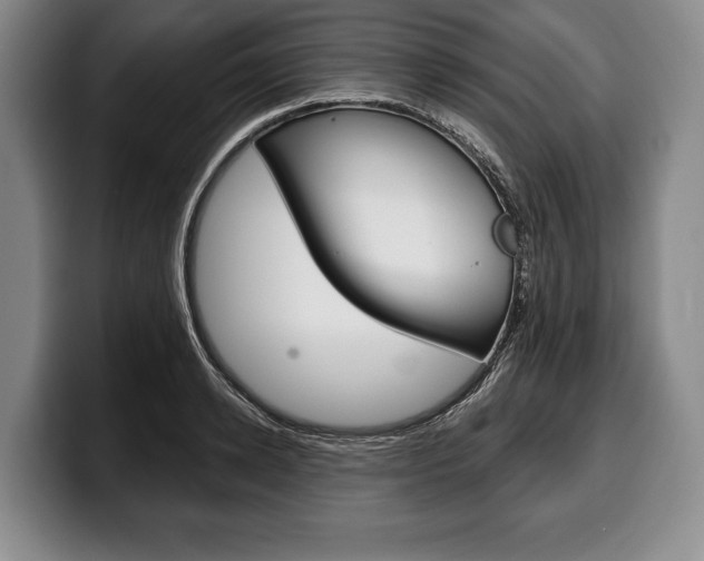 X0000100330942200806051200