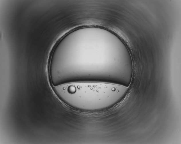 X0000100330943200806051200