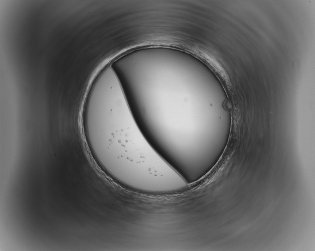 X0000100330944200806051201