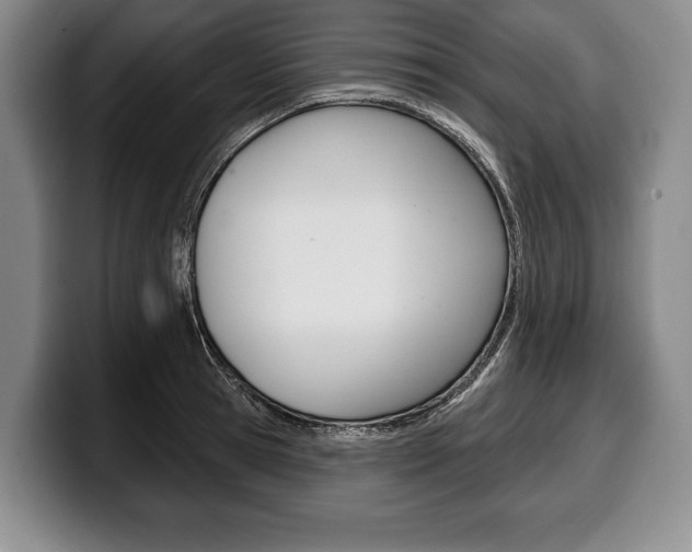 X0000100330945200806051201