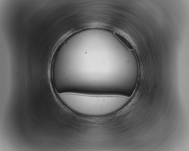 X0000100330946200806051201