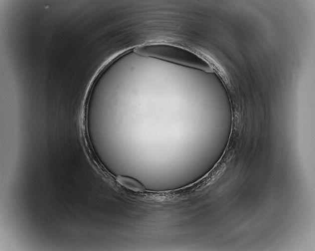 X0000100330948200806051201