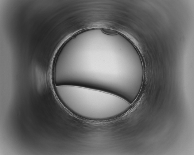 X0000100330949200806051201