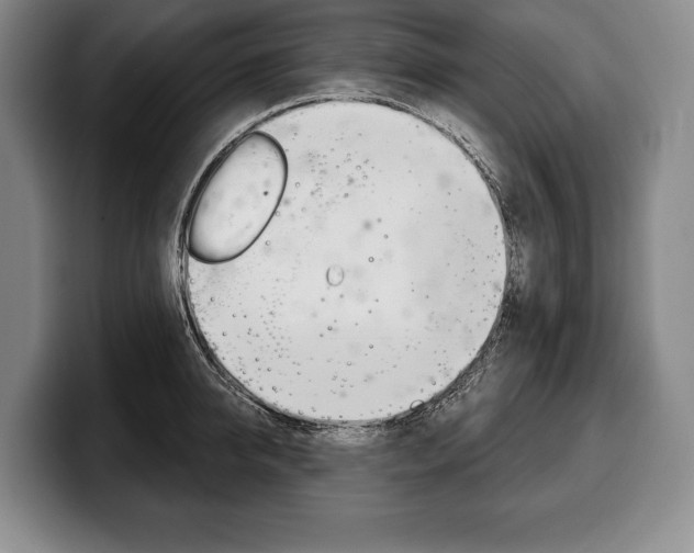 X0000100330950200806051201