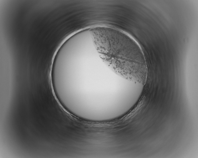 X0000100330951200806051201