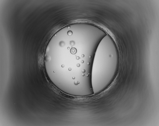 X0000100330953200806051201