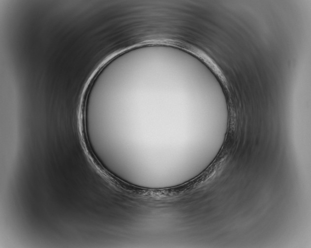X0000100330955200806051201