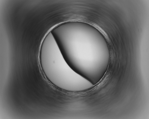 X0000100330956200806051201