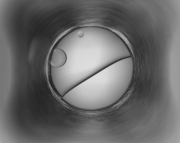X0000100330957200806051201