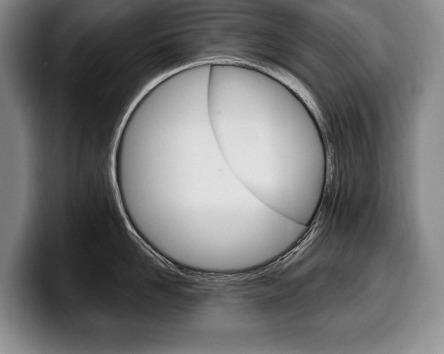 X0000100330958200806051201