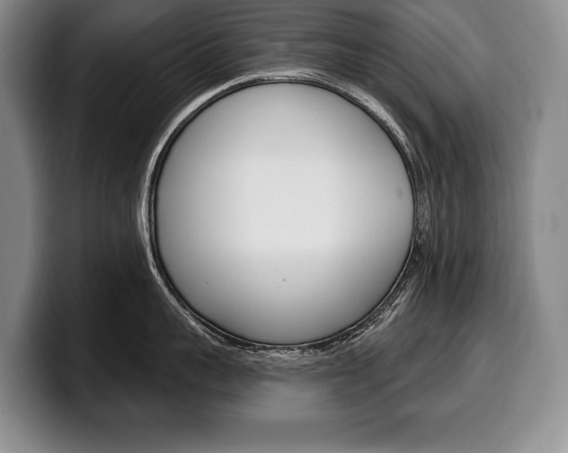 X0000100330959200806051201