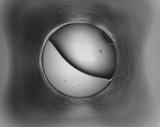 X0000100330960200806051201