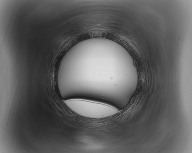 X0000100330964200806051200