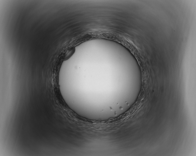 X0000100330965200806051200
