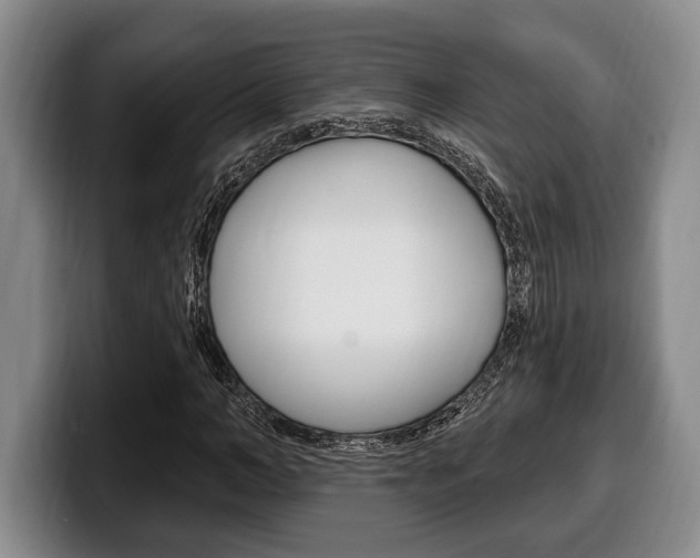 X0000100330966200806051200