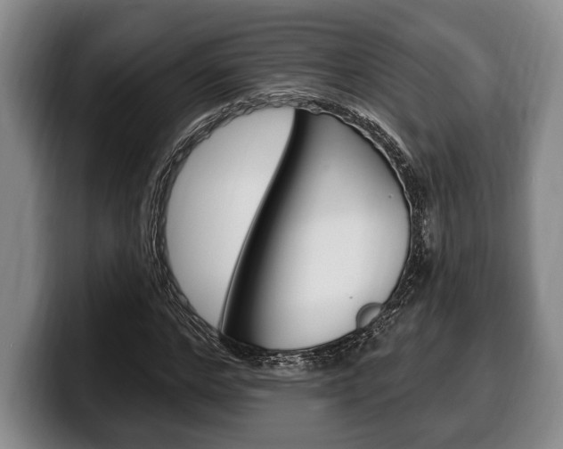 X0000100330968200806051200
