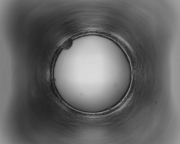 X0000100330969200806051200