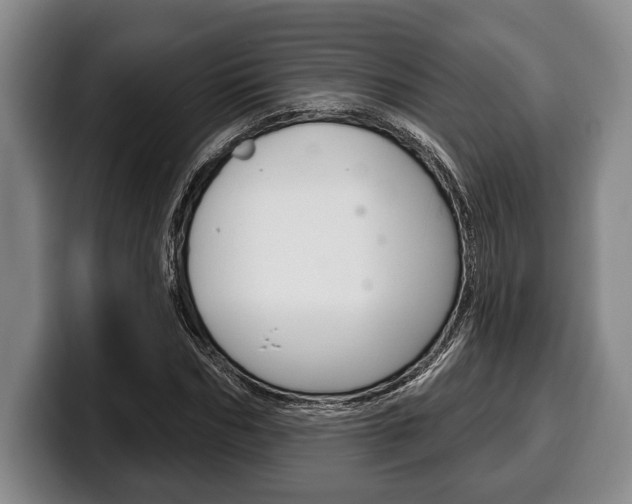 X0000100330970200806051200