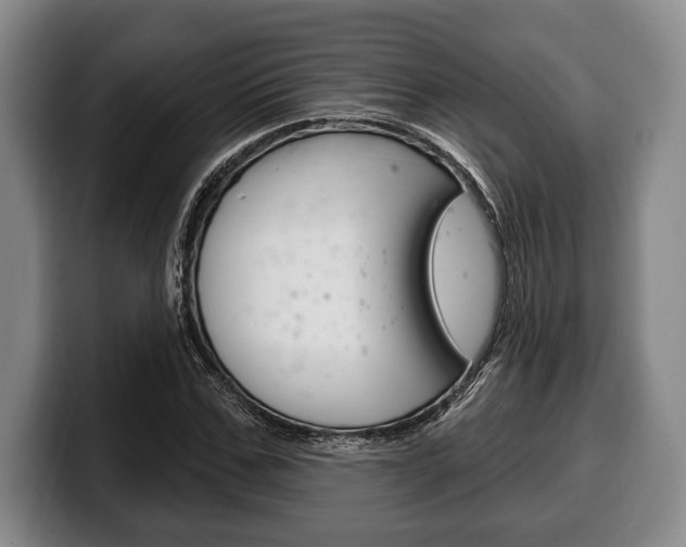 X0000100330971200806051200
