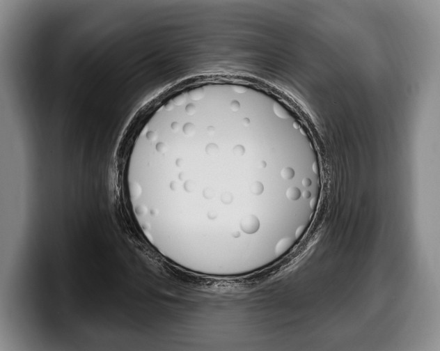 X0000100330974200806051200