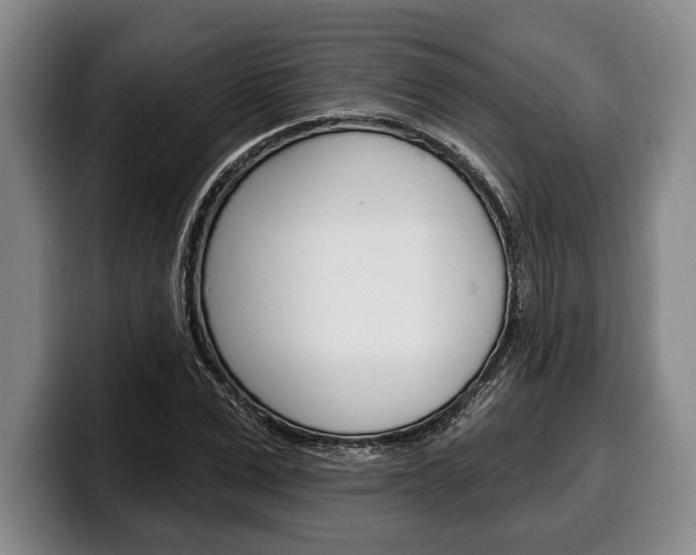 X0000100330975200806051200