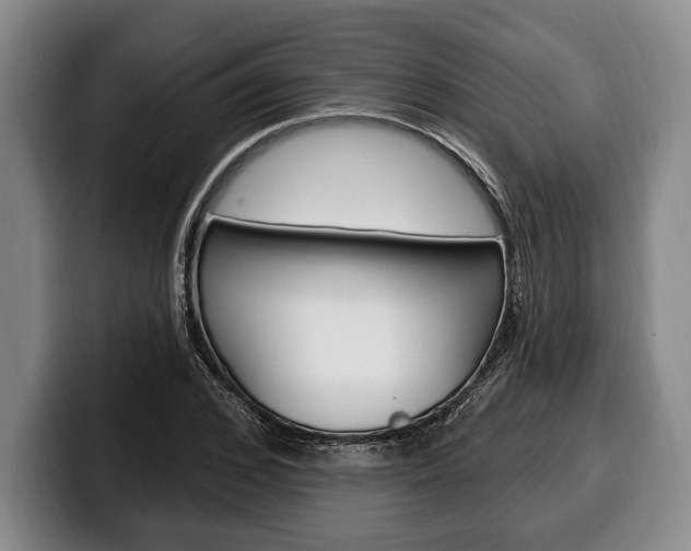 X0000100330976200806051200