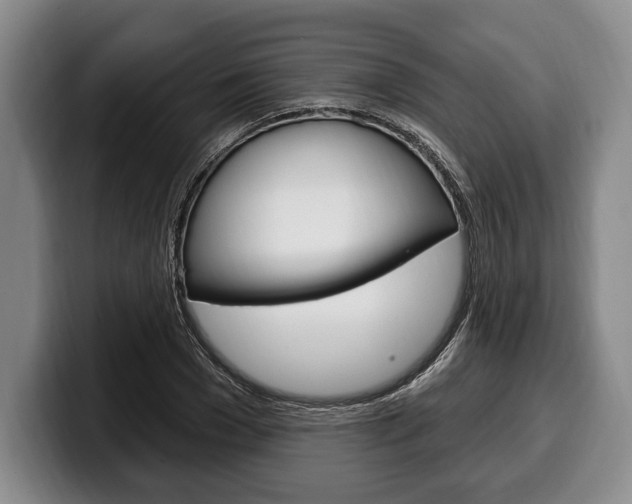 X0000100330977200806051200