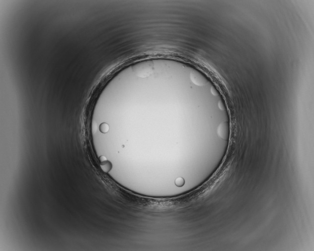 X0000100330978200806051200