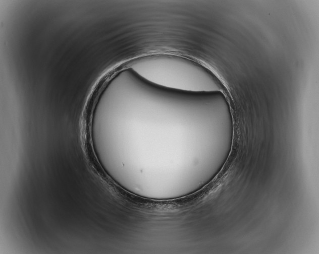 X0000100330979200806051200