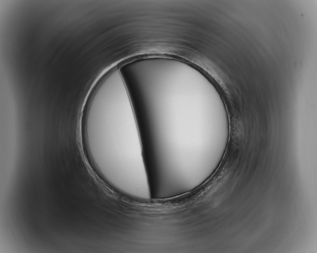 X0000100330980200806051200