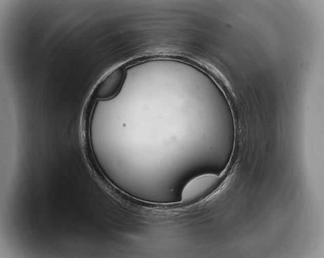X0000100330981200806051200
