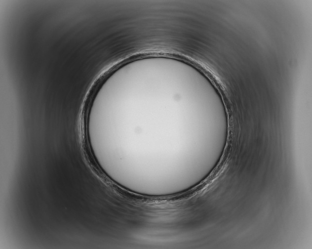 X0000100330982200806051200