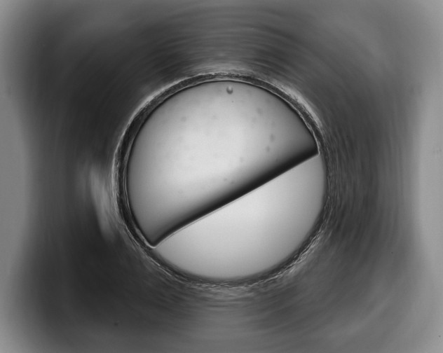 X0000100330983200806051200