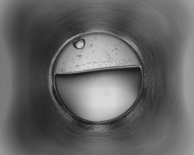 X0000100330984200806051200