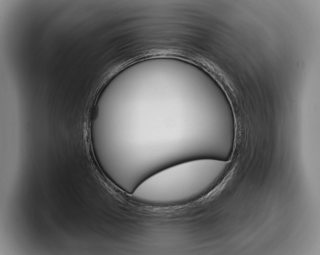 X0000100330985200806051200