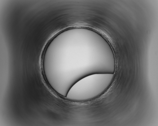 X0000100330990200806051200