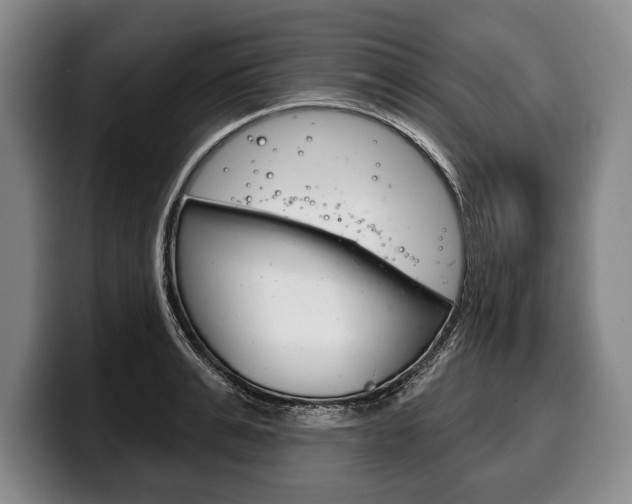X0000100330991200806051200