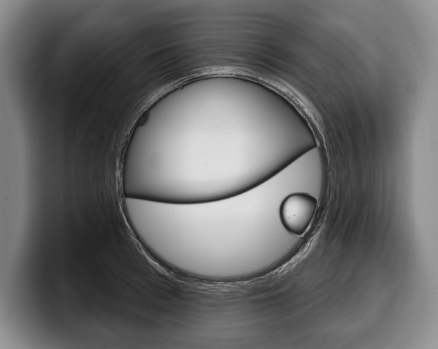 X0000100330993200806051200