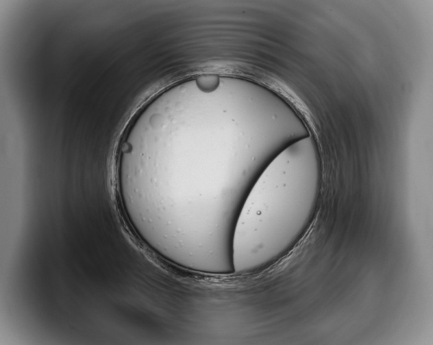 X0000100330994200806051200