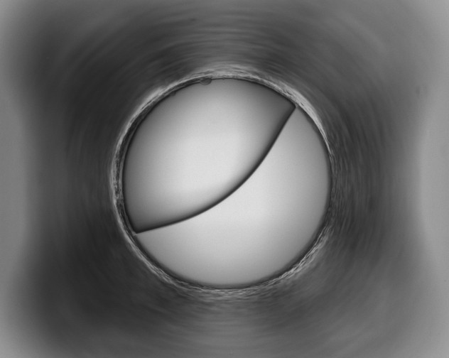 X0000100330997200806051200