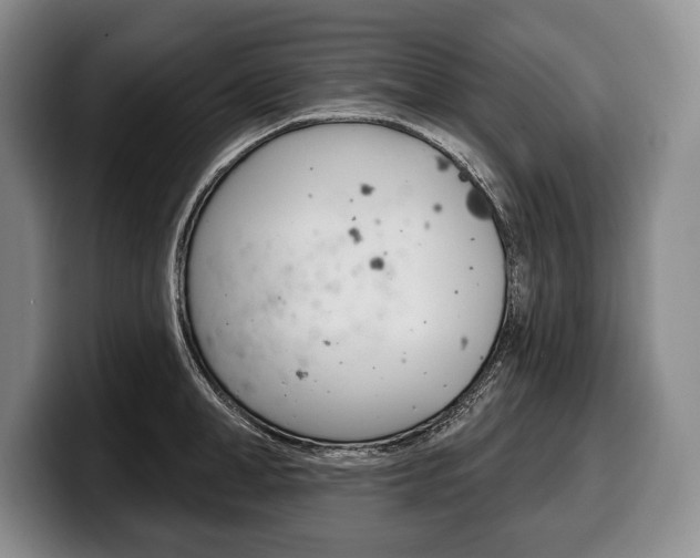 X0000100330998200806051200