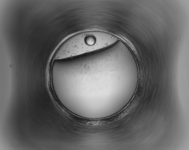 X0000100331000200806051159