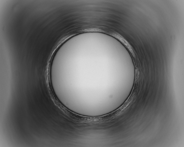 X0000100331002200806051159