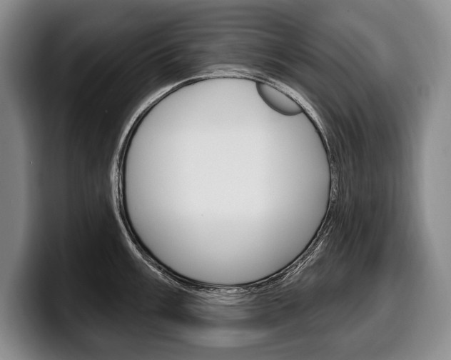 X0000100331003200806051159